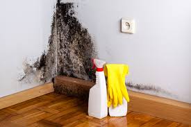 Professional Mold Prevention & Removal  in Eufaula, AL